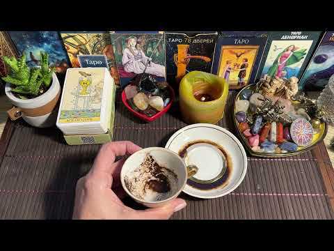 Видео: 🐍 Змеиный коллектив на работе, что надо знать ‼️