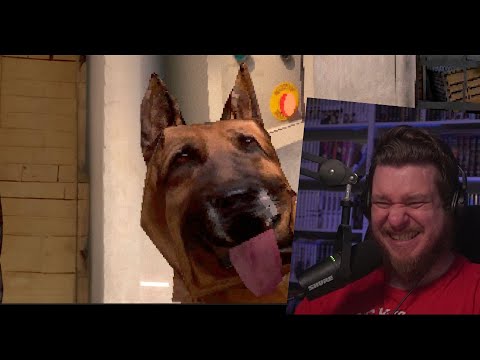 Видео: Собака 🐎 | РЕАКЦИЯ НА Valera Ghosther