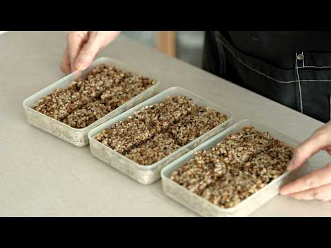 Видео: Ешьте это каждый день, чтобы прожить долгую и здоровую жизнь‼️