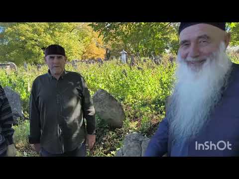 Видео: Белхи бар Элистанжой кешний хьаьлим кертара чура доза буц доьвзигах цандеш, тадеш, само йешь..