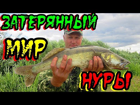 Видео: ЗАТЕРЯННЫЙ МИР НУРЫ!!! РЫБАЛКА НА РЕКЕ НУРА. #рыбалка #казахстан #река #нура #судак #донка