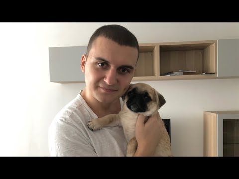Видео: ЗАВЕЛ СЕБЕ СОБАКУ!НОВАЯ КВАРТИРА!НАУЧИЛ ПРИНОСИТЬ КОСТОЧКУ!