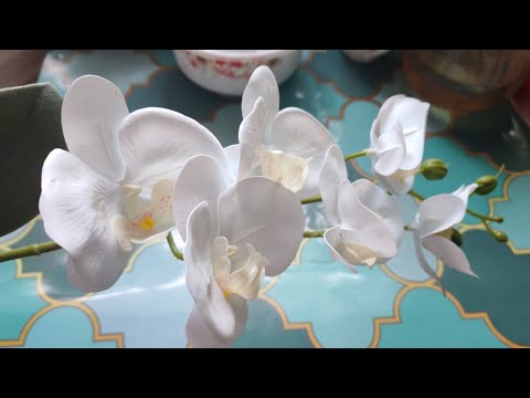 Видео: Распаковка Дикси, Озон, Фикс-прайс. Небольшой влог.