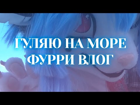 Видео: КАК МЫ ХОДИЛИ ГУЛЯТЬ НА МОРЕ С ФУРСЬЮТОМ