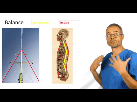Видео: Прогулка для пресса: как осанка влияет на лицо | Упражнения