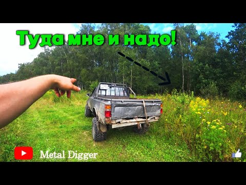 Видео: Самая неожиданная находка по дороге в лесничество