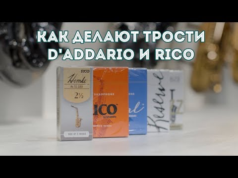 Видео: Как делают трости для саксофона и кларнета D'Addario и Rico