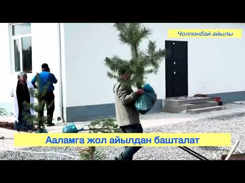 Видео: Чолпонбай айылы 2025-жыл