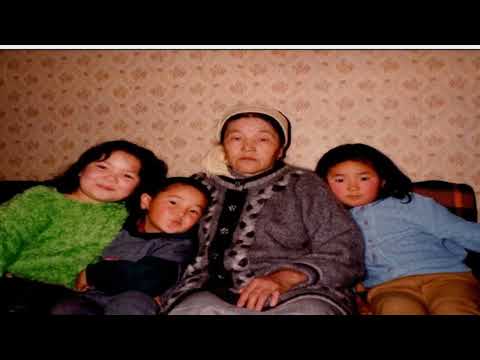 Видео: 7 ноября 2025 г.