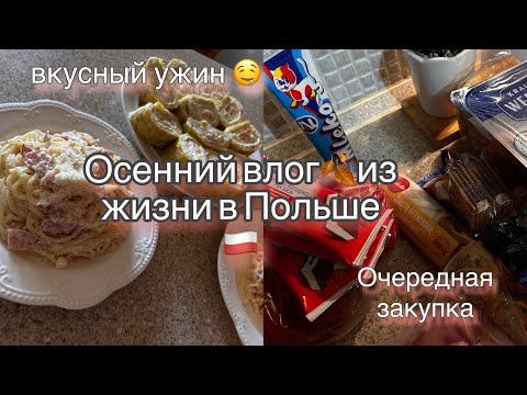 Видео: ЖИЗНЬ ДОМОХОЗЯЙКИ !!МОИ КУЛИНАРНЫЕ ИДЕИ /влог 