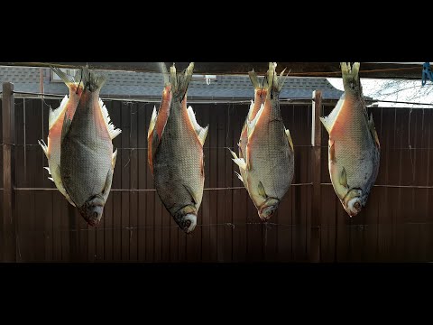 Видео: ЗАСОЛКА РЫБЫ В ТУЗЛУКЕ