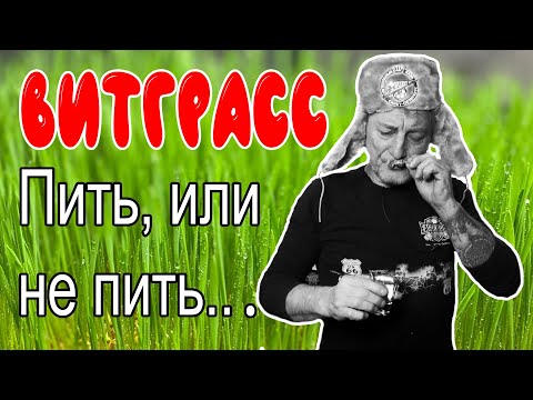 Видео: Витграсс, как его употреблять .