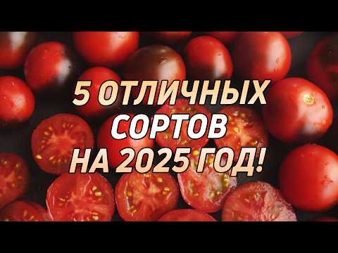 Видео: 5 ОТЛИЧНЫХ СОРТОВ ТОМАТОВ НА 2025 ГОД!