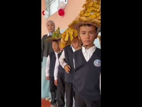 Видео: 2 ноября 2025 г.