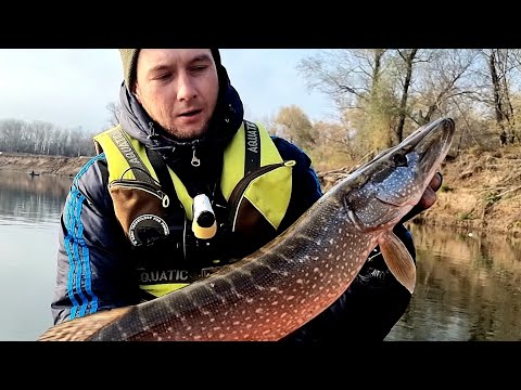 Видео: ВСТАЛ НА КОРЯГИ С ДОСТОЙНОЙ РЫБОЙ... Рыбалка На Джиг Поздней Осенью 2023