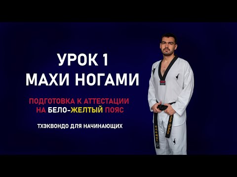 Видео: Подготовка к аттестации на бело-желтый пояс. Урок 1. Махи ногами.
