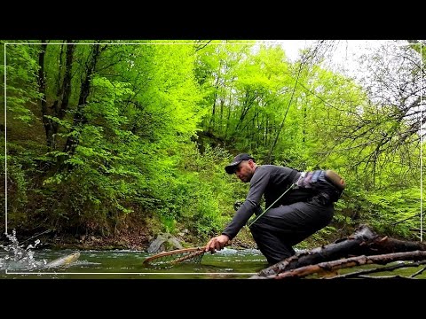 Видео: "Тъжен" риболов