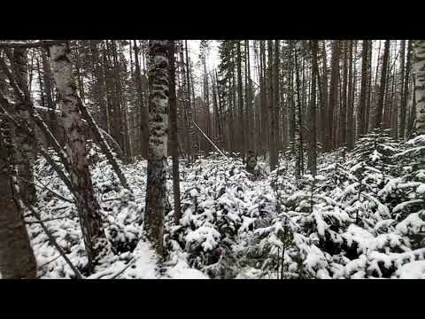 Видео: Промысел продолжается/ Жизнь в тайге/ Охота на соболя. 13 серия!