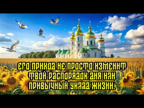 Видео: Кто-то тайно влюблен в тебя! Ангельское послание.