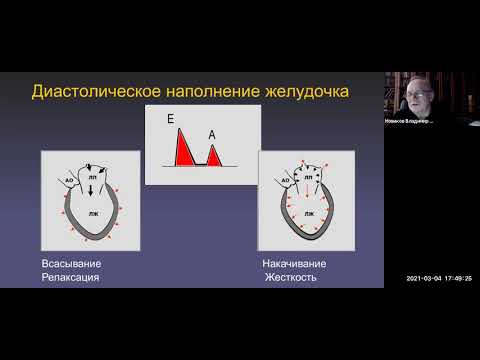 Видео: Эхокардиографическая оценка сердечной функции