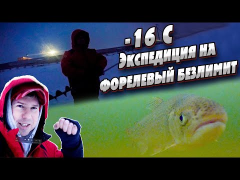 Видео: Ловля форели со льда на классическом Безлимите | Денис Вихров
