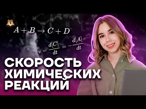 Видео: Все о скорости химической реакции | Химия ЕГЭ | Умскул