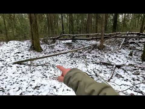 Видео: Сморгонь Север. Немецкая траншея Т7 Б. 22 февраля 2025 года