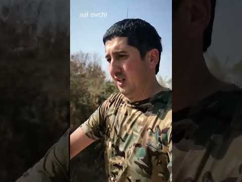 Видео: 22 октября 2025 г.