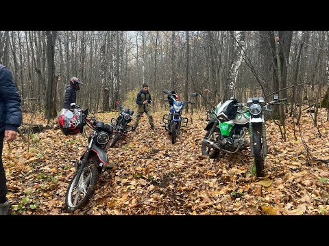 Видео: ПОЕХАЛИ в СЕКТАНТСКИЙ ЛЕС, ПОПАЛ В ДТП 🤯