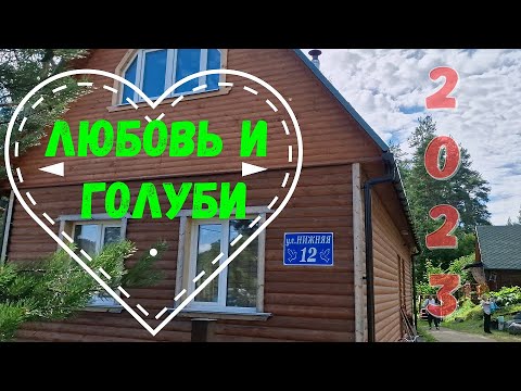 Видео: Любовь и голуби. Место сьемок любимого фильма в 2023 году.