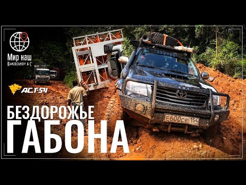 Видео: Бездорожье Габона