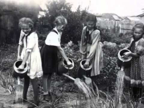 Видео: "Шумерля 95-лет" Рассказ о первой и третьей школах г. Шумерля Новая Реальность