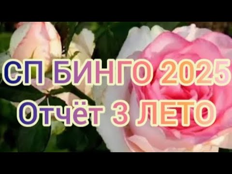 Видео: СП БИНГО 2025. Отчёт 3 ЛЕТО. Участник 113.