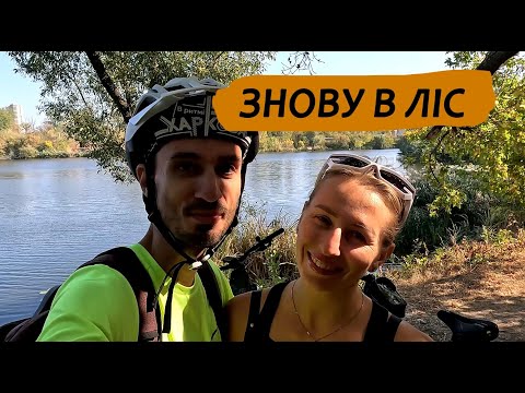 Видео: Вельчики, ліс та музика
