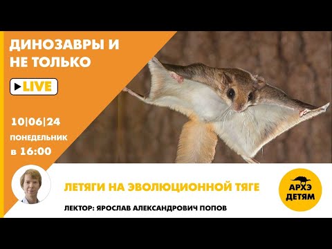 Видео: Занятие "Летяги на эволюционной тяге" кружка "Динозавры и не только" с Ярославом Поповым