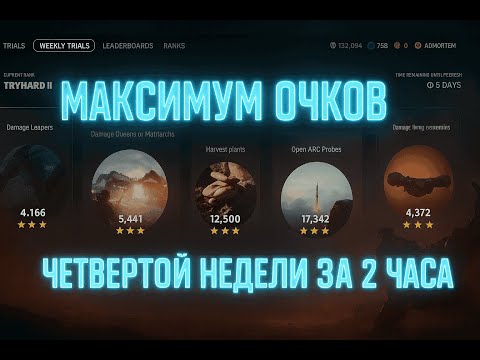 Видео: Влети в ТОП 4 недели с этим гайдом, пока не поздно