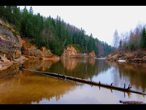 Видео: ✅ЛАТВИЯ НА ВЫХОДНЫЕ, -Природные тропы Лигатне - Līgatnes dabas takas Территория Позитива  ❤🤍❤ Латвия