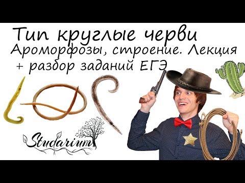 Видео: Круглые черви. Ароморфозы, строение. Лекция и разбор заданий ЕГЭ