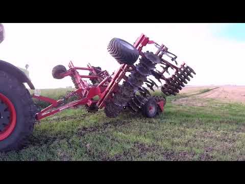 Видео: Буду знову сіяти ріпак.Підготовка грунту #ріпак #raps