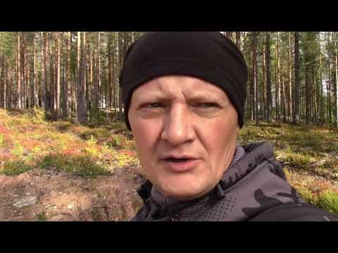 Видео: Я доволен, я в лесу... Карелия.