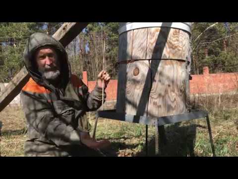 Видео: Колоды для пчёл. Жизнь пчёл