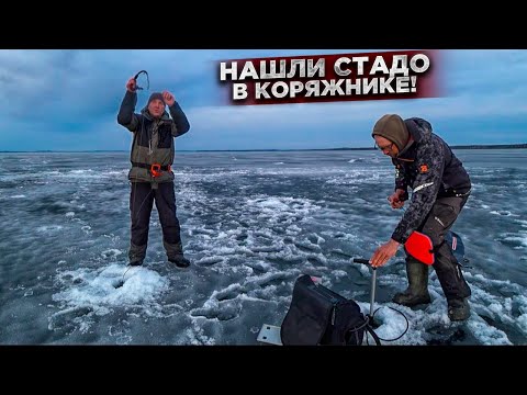 Видео: Нашли в КОРЯЖНИКЕ СТАДО судака / Настоящая зимняя РАЗДАЧА на РАТЛИНЫ и ВИБЫ