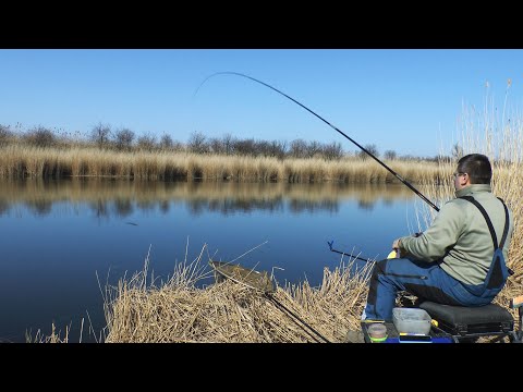 Видео: Ловля тарани и плотвы на поплавок в начале марта. Как поймать тарань на маховую удочку весной.