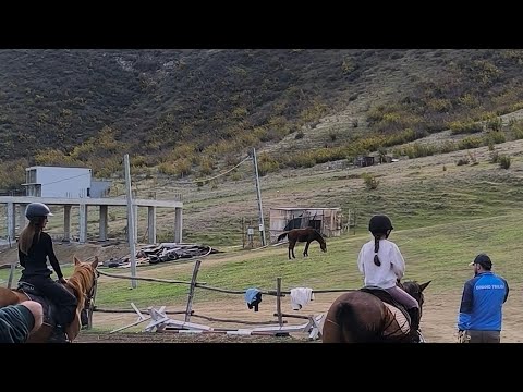 Видео: Сварщик по жизни. езда на лошаде в прямом эфире!