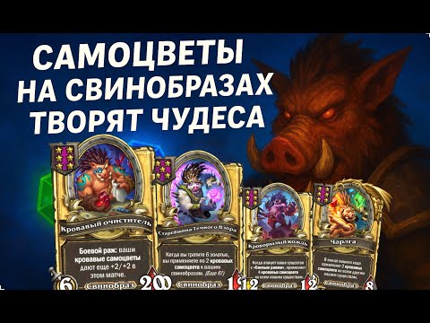 Видео: 💎🐗 ИДЕАЛЬНАЯ КРУТКА! Самоцветы на свинобразах творят чудеса 🚀| Hearthstone Поля Сражений