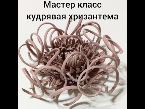 Видео: Мастер класс брошь из кожи.  Хризантема.