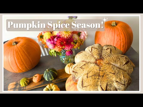 Видео: Мы вернулись! И сейчас сезон тыквенных специй 🍁 | Дом и сад | Видеоблог № 128