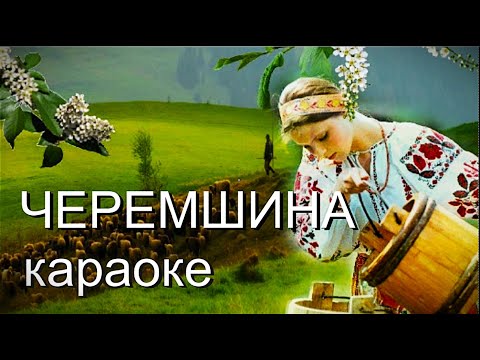 Видео: Черемшина КАРАОКЕ