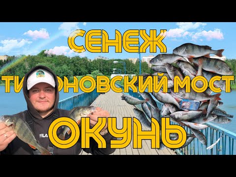 Видео: Сенеж. Тимоновский мост. Окунь.