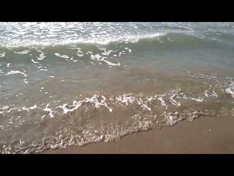 Видео: пляж Seher Kumkoy Star 4* в Турции                              Seher Kumkoy Star 4* beach in Turkey